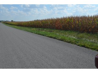 Property photo 19 - REAL ESTATE AUCTION - 604+/- ACRES IN 14 TRACTS IN MERCER CO., OHIO